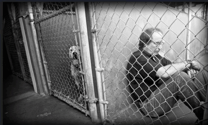 Op Ed from Michael Rosenberg: Miami-Dade needs Pets’ Trust more than ever