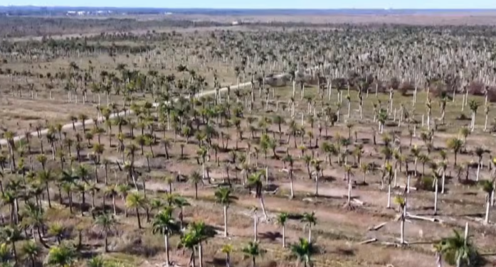 Miami-Dade commission finally gets votes to approve Kelly Tractor project