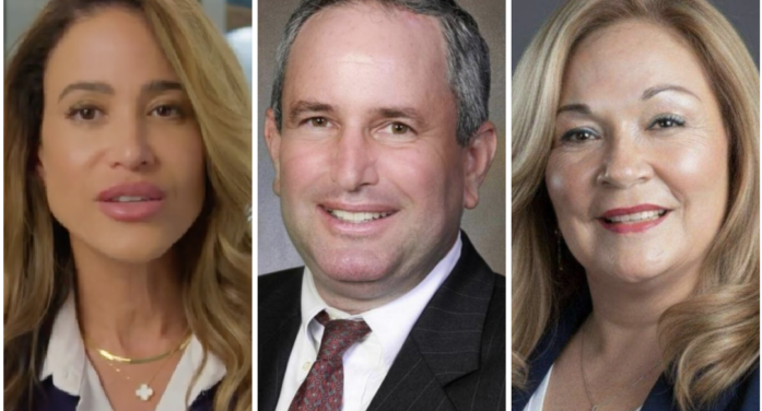 Miami-Dade District 8 race is really a referendum on Danielle Cohen Higgins