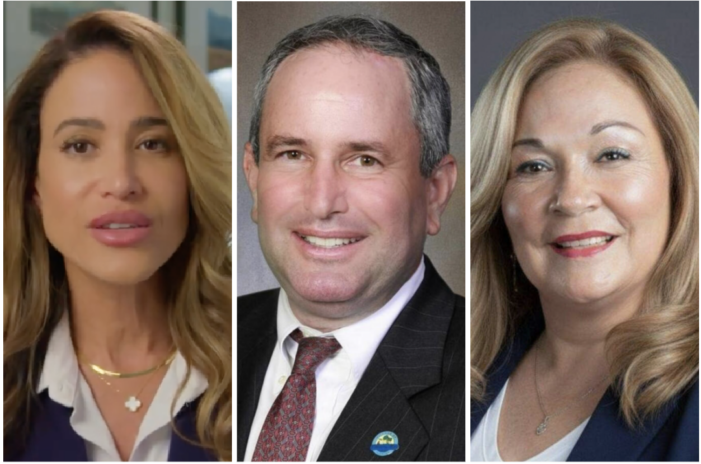 Miami-Dade District 8 race is really a referendum on Danielle Cohen Higgins