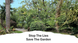 Fake neighbors? Lawyer: Coral Gables public speakers lied on where they live