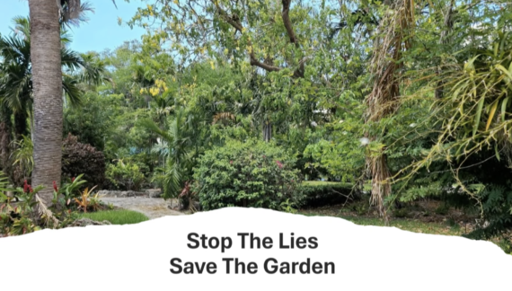 Fake neighbors? Lawyer: Coral Gables public speakers lied on where they live